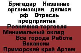 Бригадир › Название организации ­ диписи.рф › Отрасль предприятия ­ Розничная торговля › Минимальный оклад ­ 35 000 - Все города Работа » Вакансии   . Приморский край,Артем г.